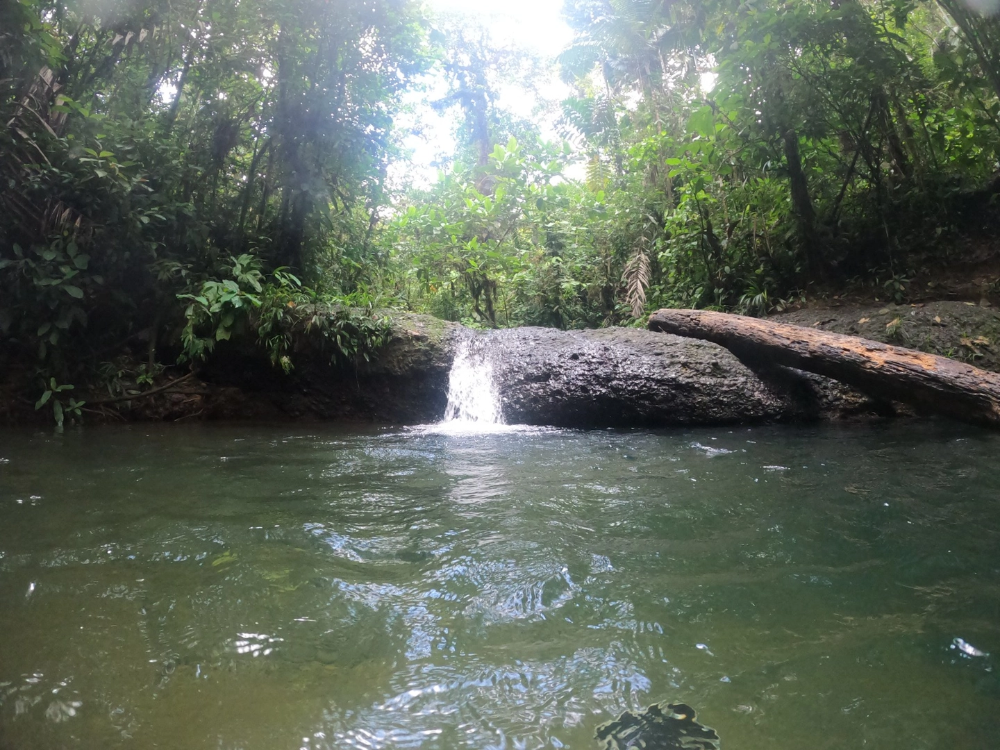 Tour a la reserva de San Cipriano