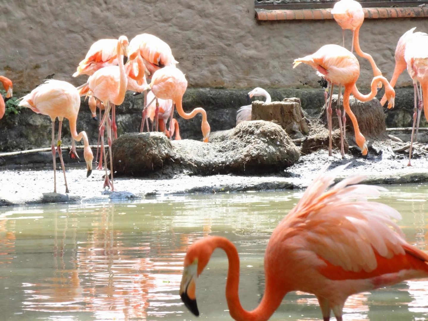 City Tour Panorámico y Zoológico