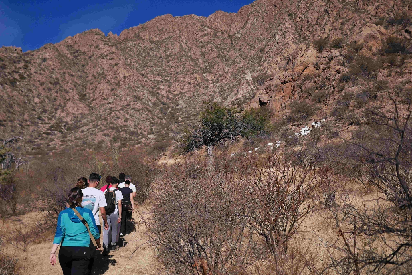 Trekking Kilometro e Historia en Cafayate
