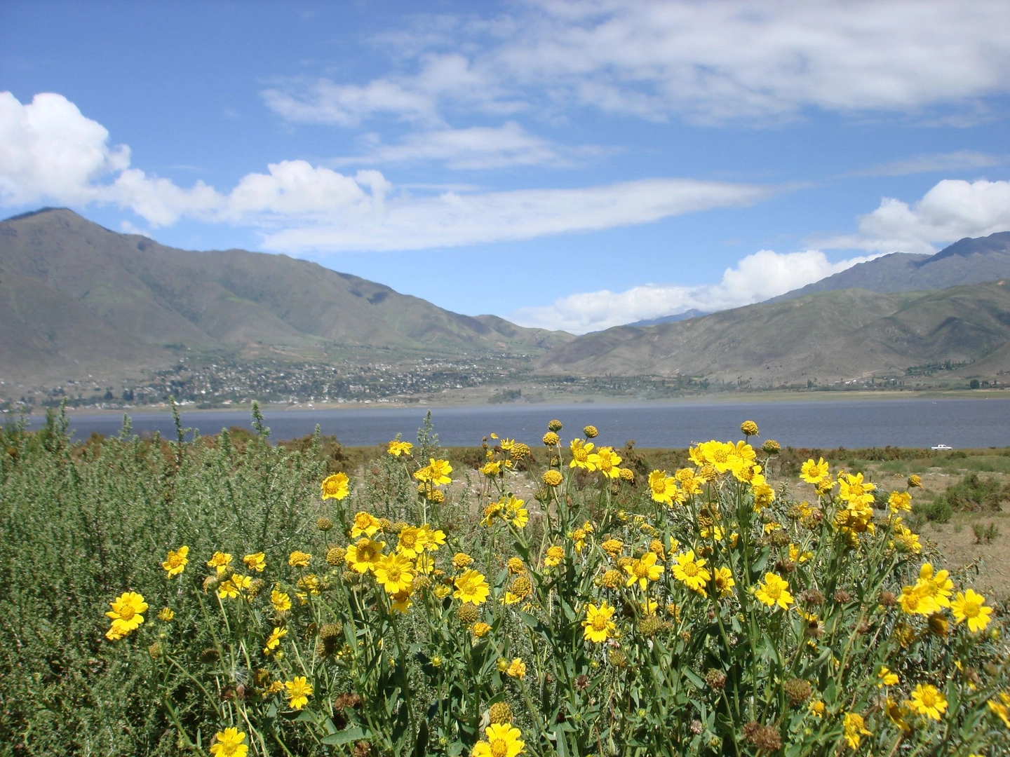 Tafí del Valle: yungas, Menhires y Jesuitas