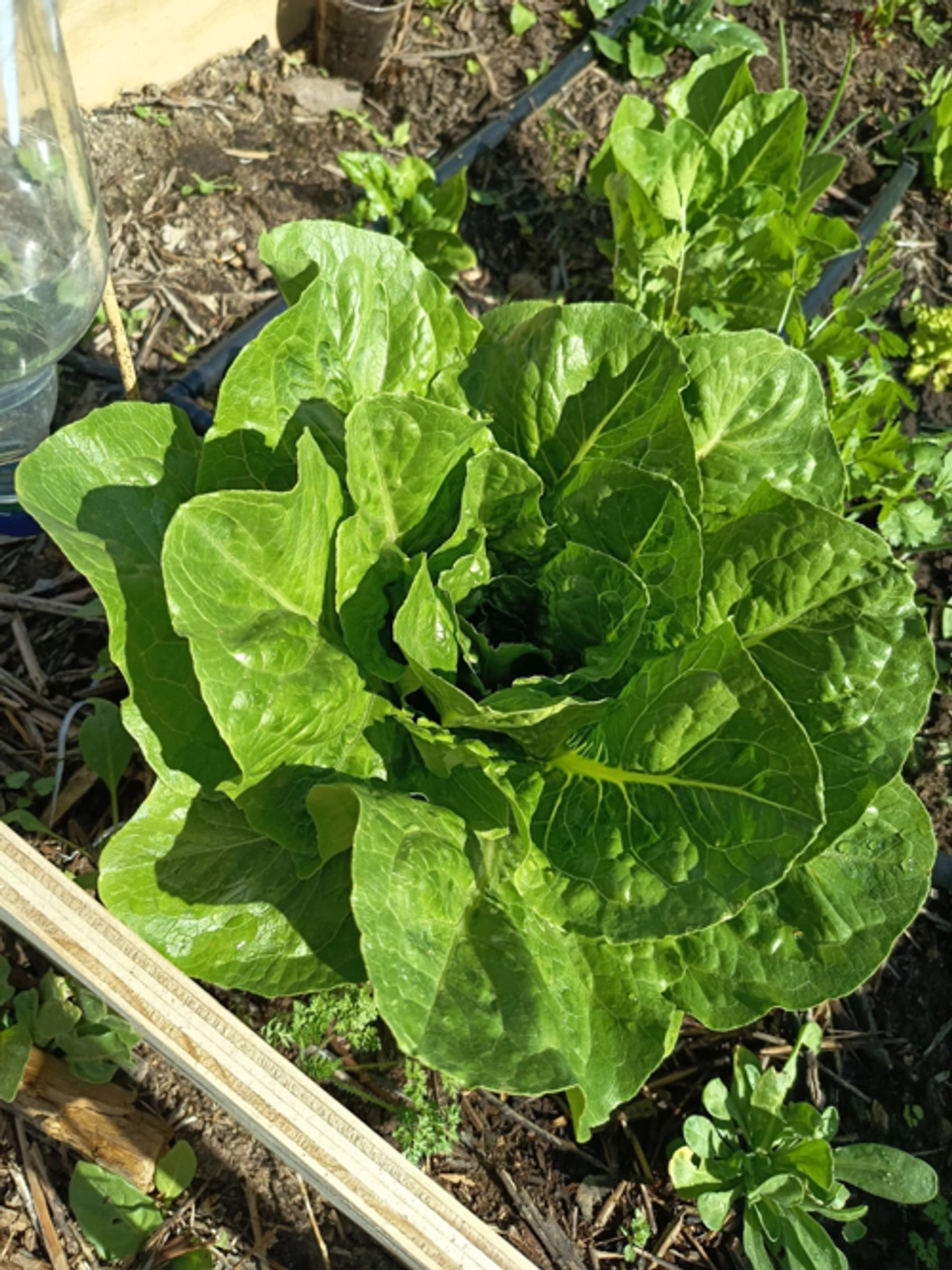 Picture 2