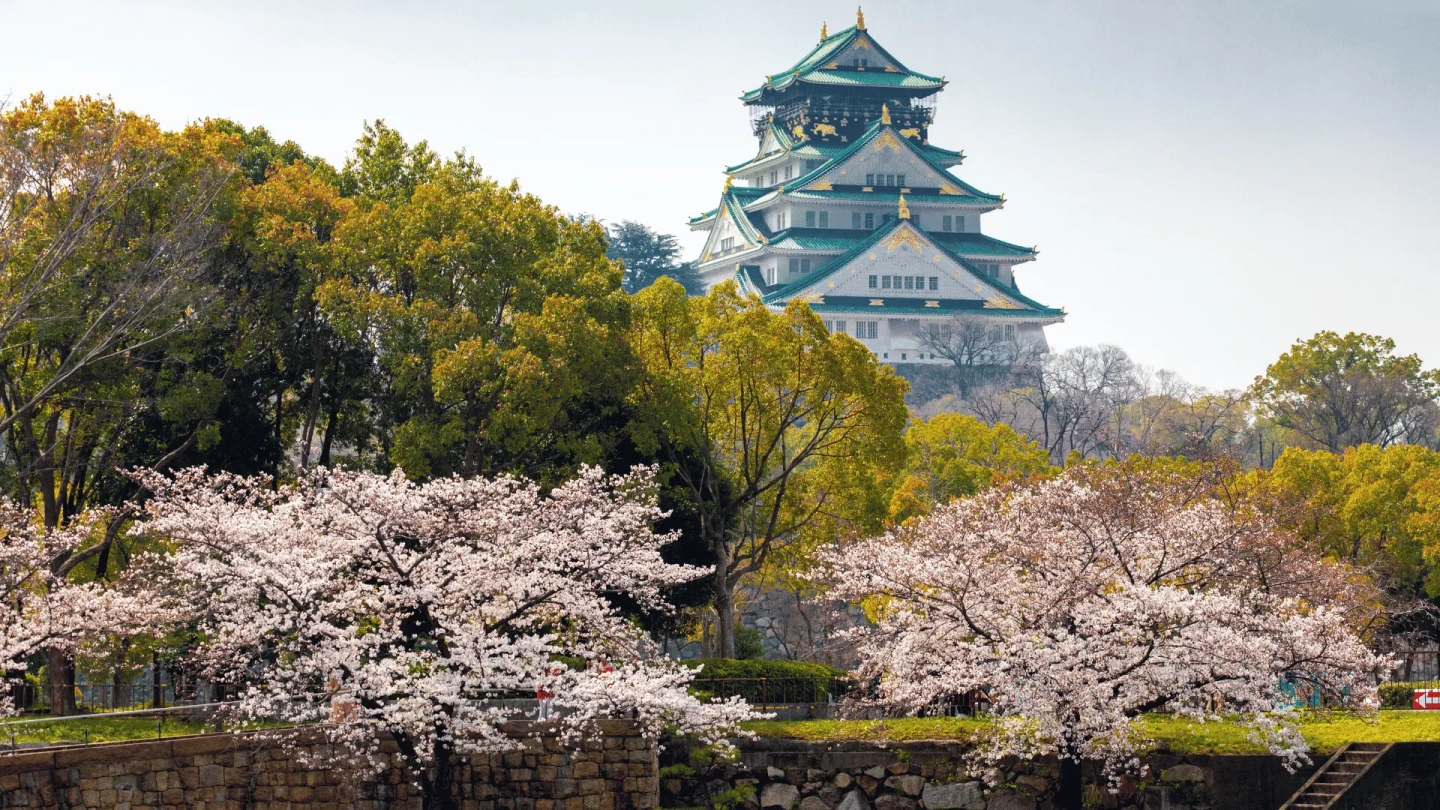 Osaka Castle Walking Tour (TUR)