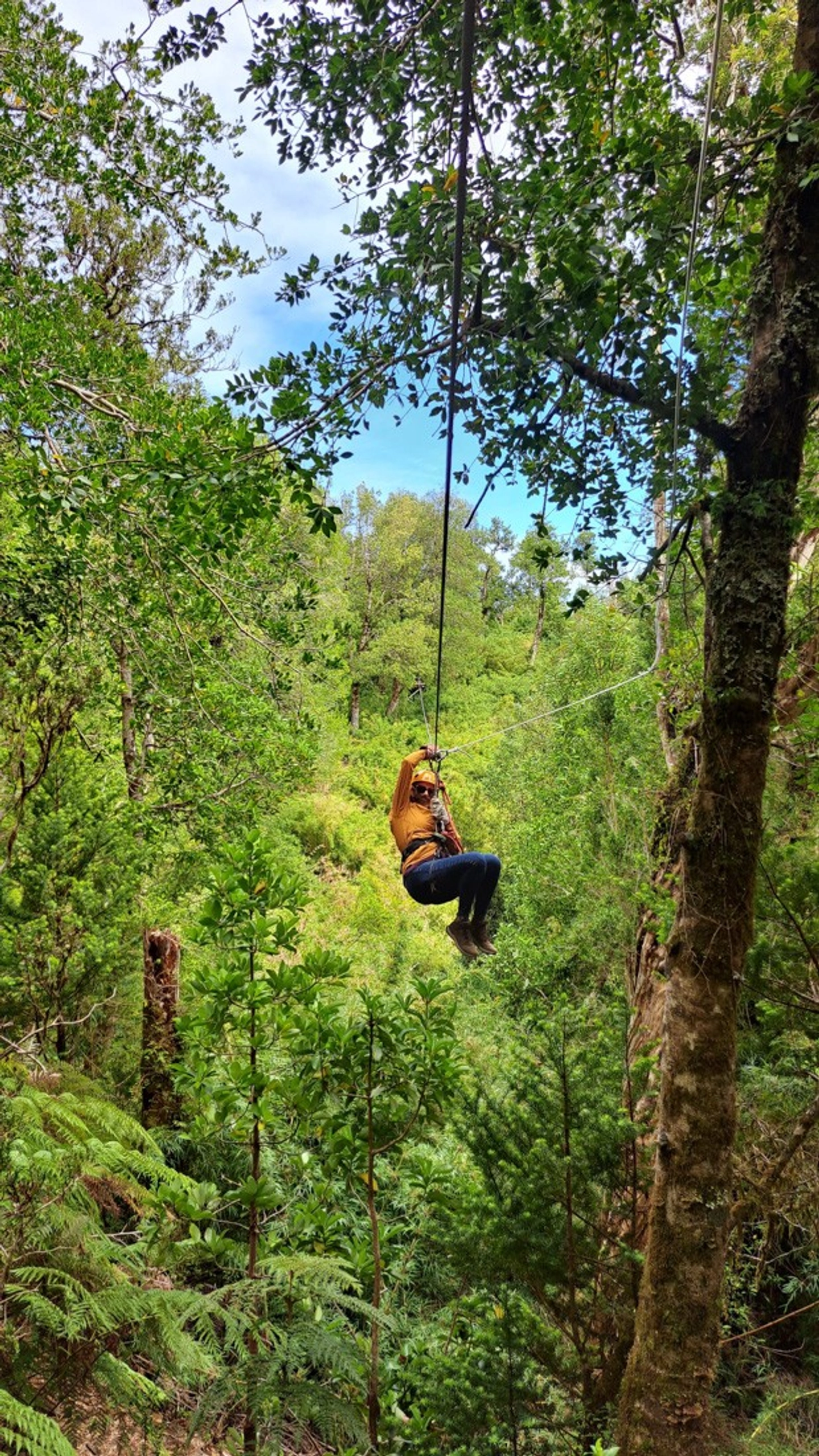 Full Day Aventura en Valdivia: Canopy, Kayak y Cervezas Artesanales