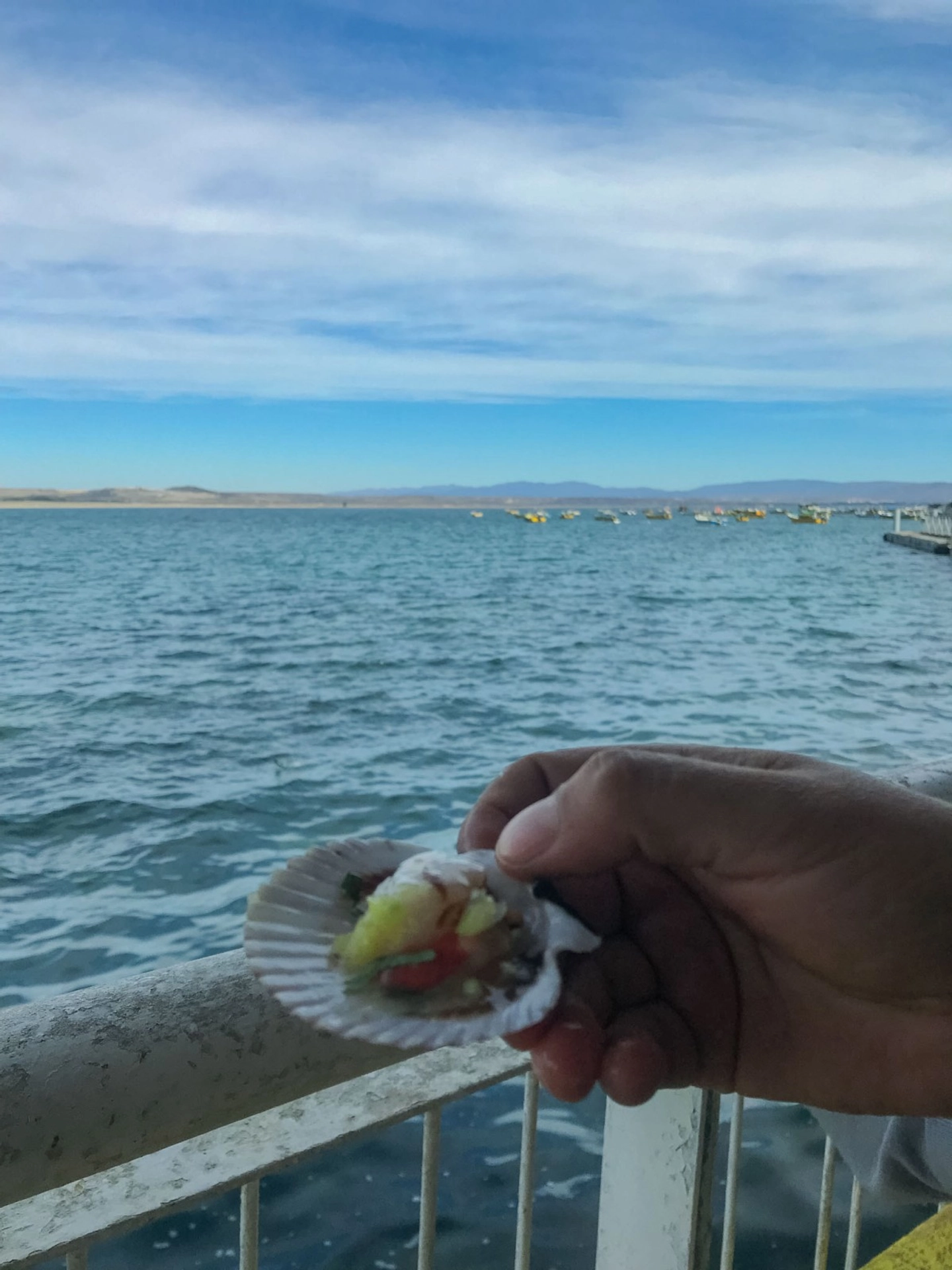 Trazos de Historia recorre la Ruta Patrimonial: Del Valle de Elqui a la Costa