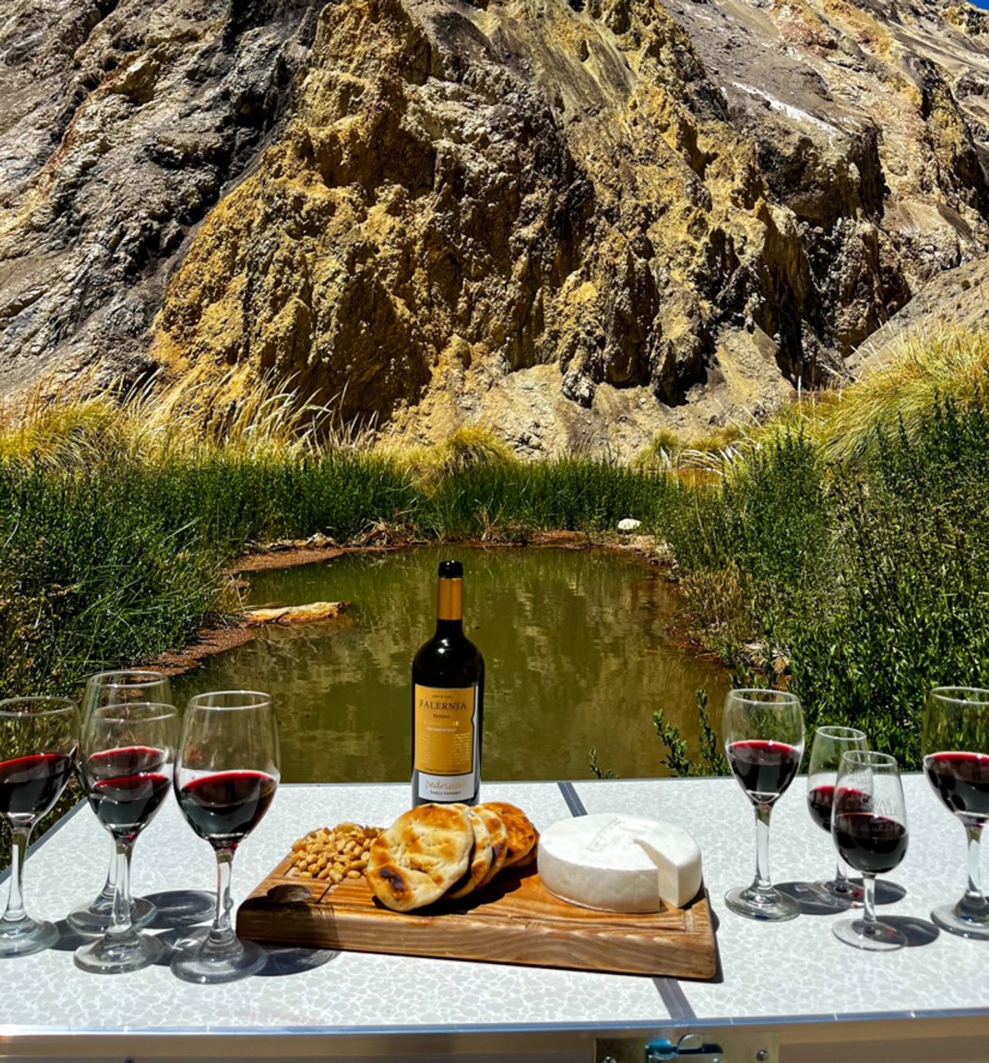 Termas en la Cordillera desde Vicuña con Sabores Locales
