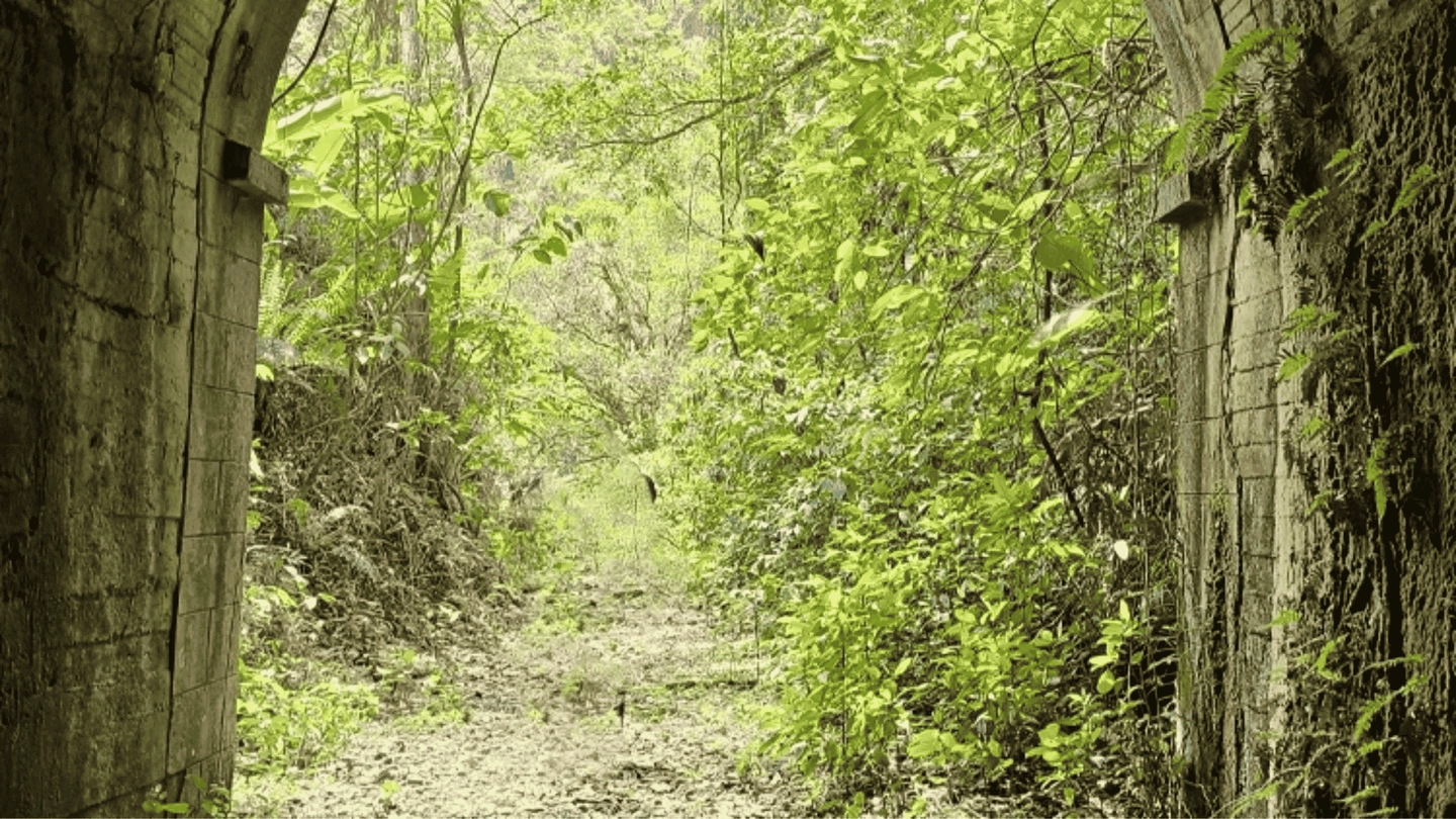 Trilha do Antigo Trem da Mata Atlântica