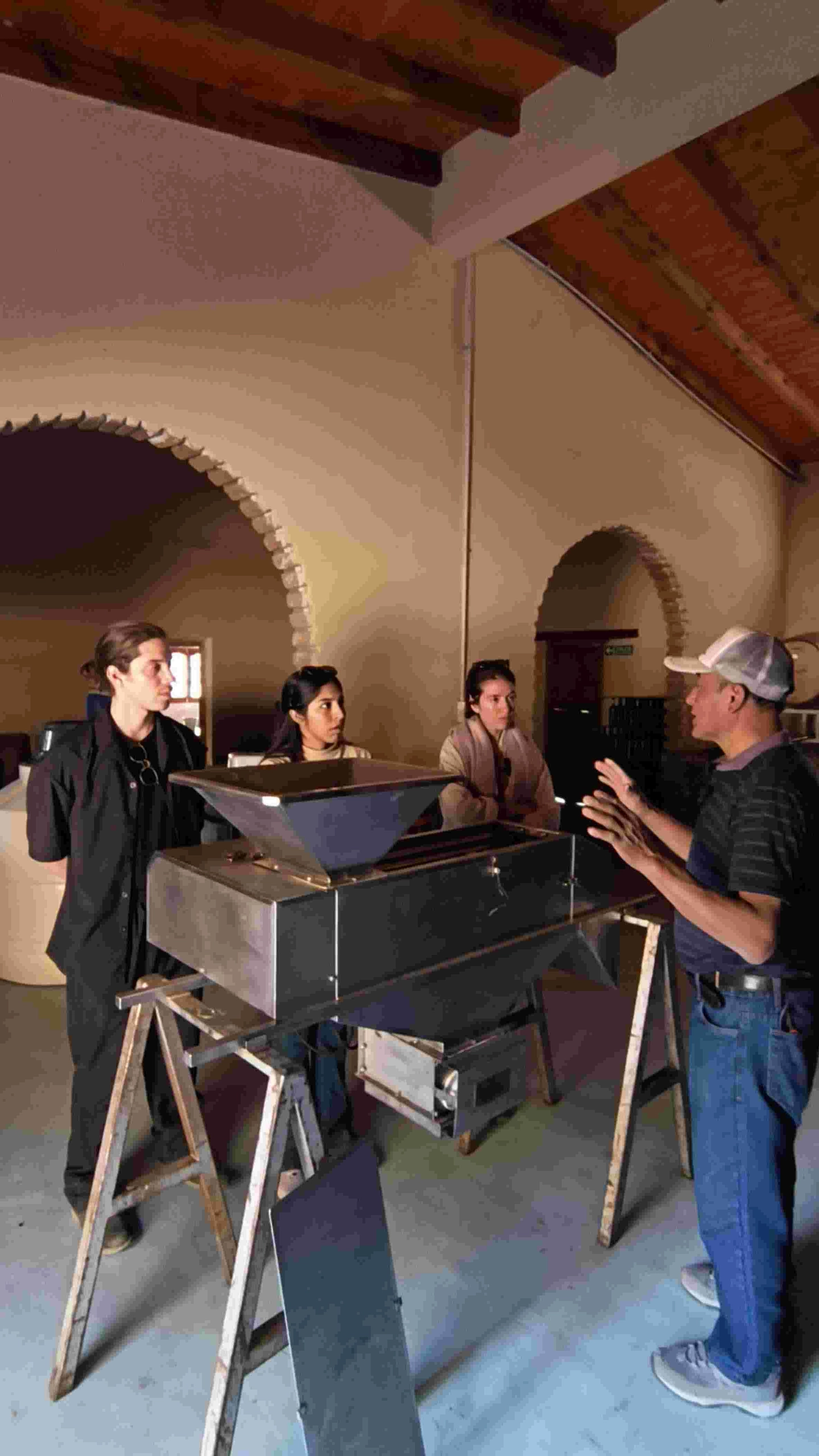 Picture 4