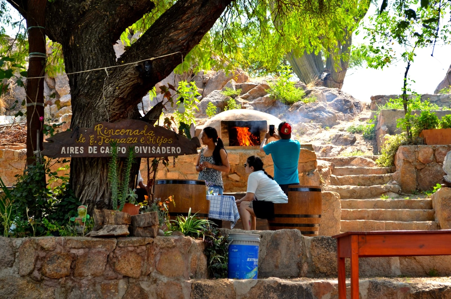 Experiencia de Vino y Naturaleza en Cafayate