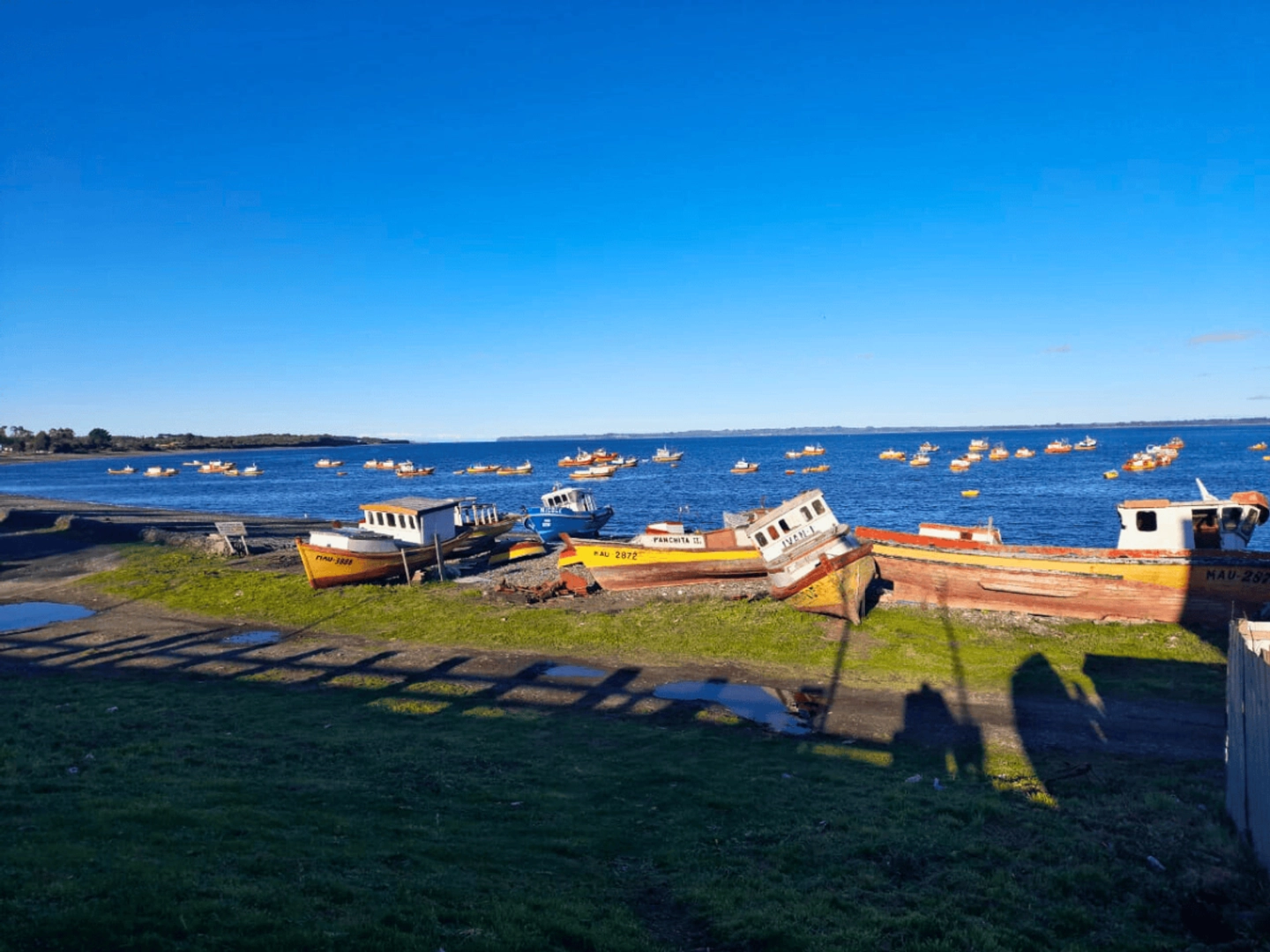 Ruta Real: Excursión por Maullín, Los Muermos y Playa Pangal