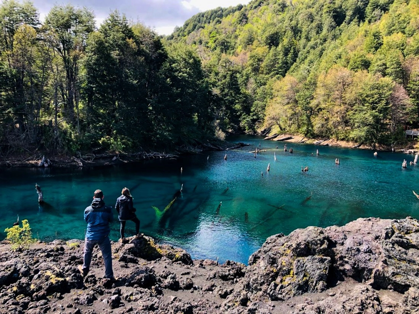 Trekking Full Day en Parque Conguillío: Araucarias Milenarias y Cascadas