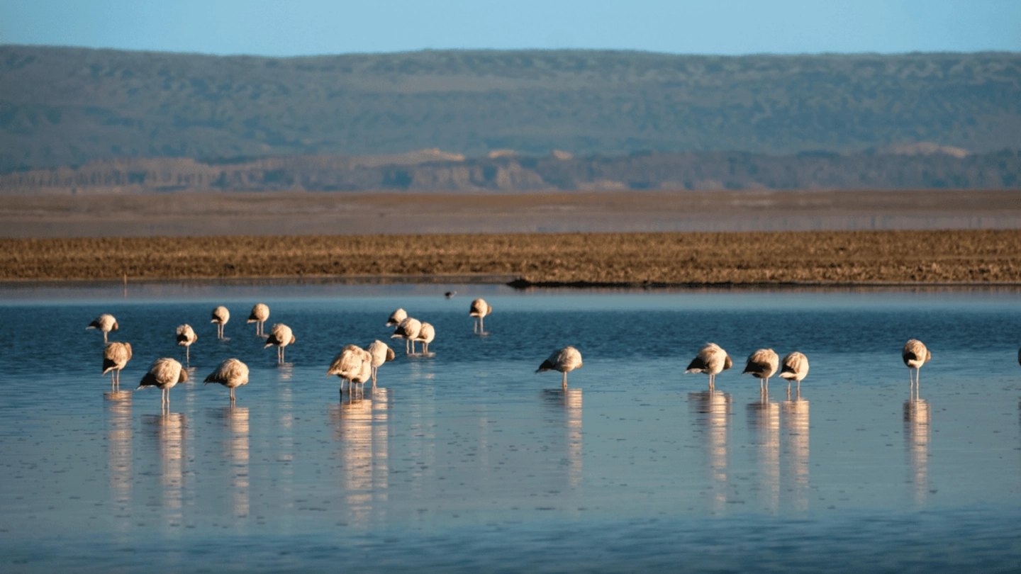 San Pedro de Atacama: 5 tours en 4 días