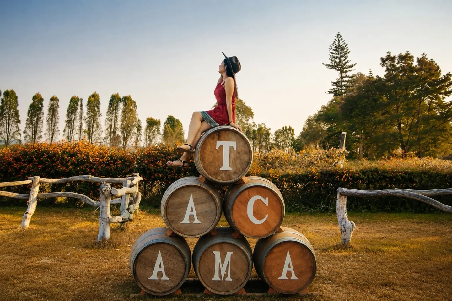 TOUR RUTA DEL PISCO