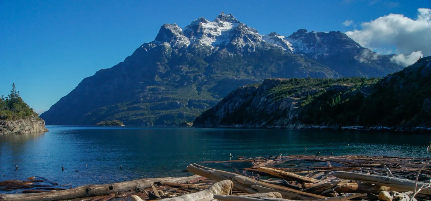 Excursión al Parque Nacional Los Alerces medio día