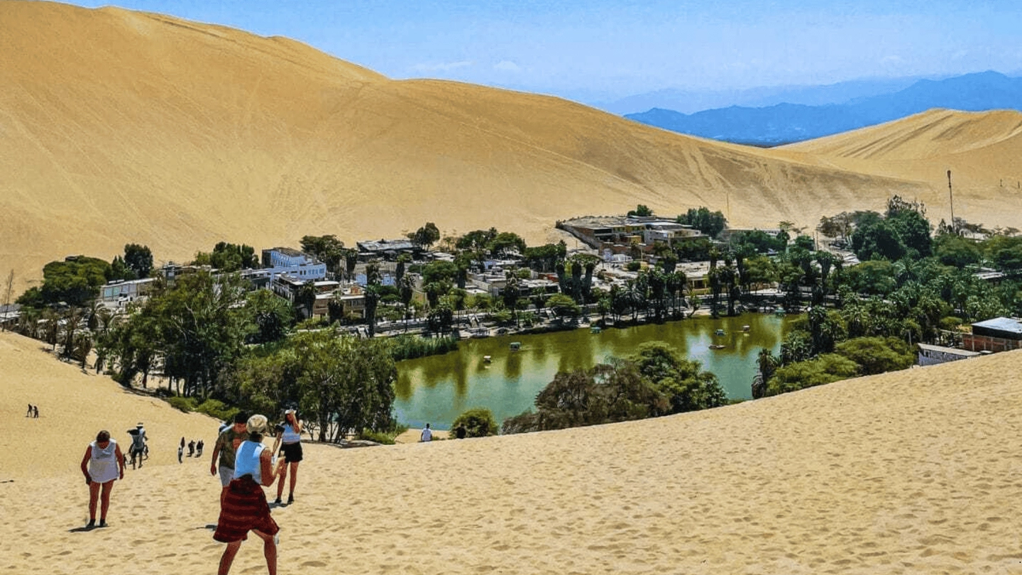 Ica paracas islas ballestas + huacachina en Buggies desde Lima