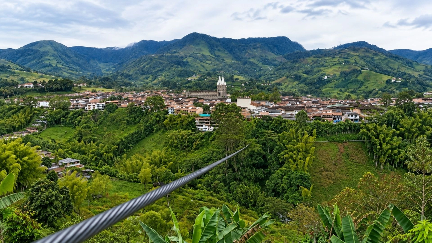 Picture 3