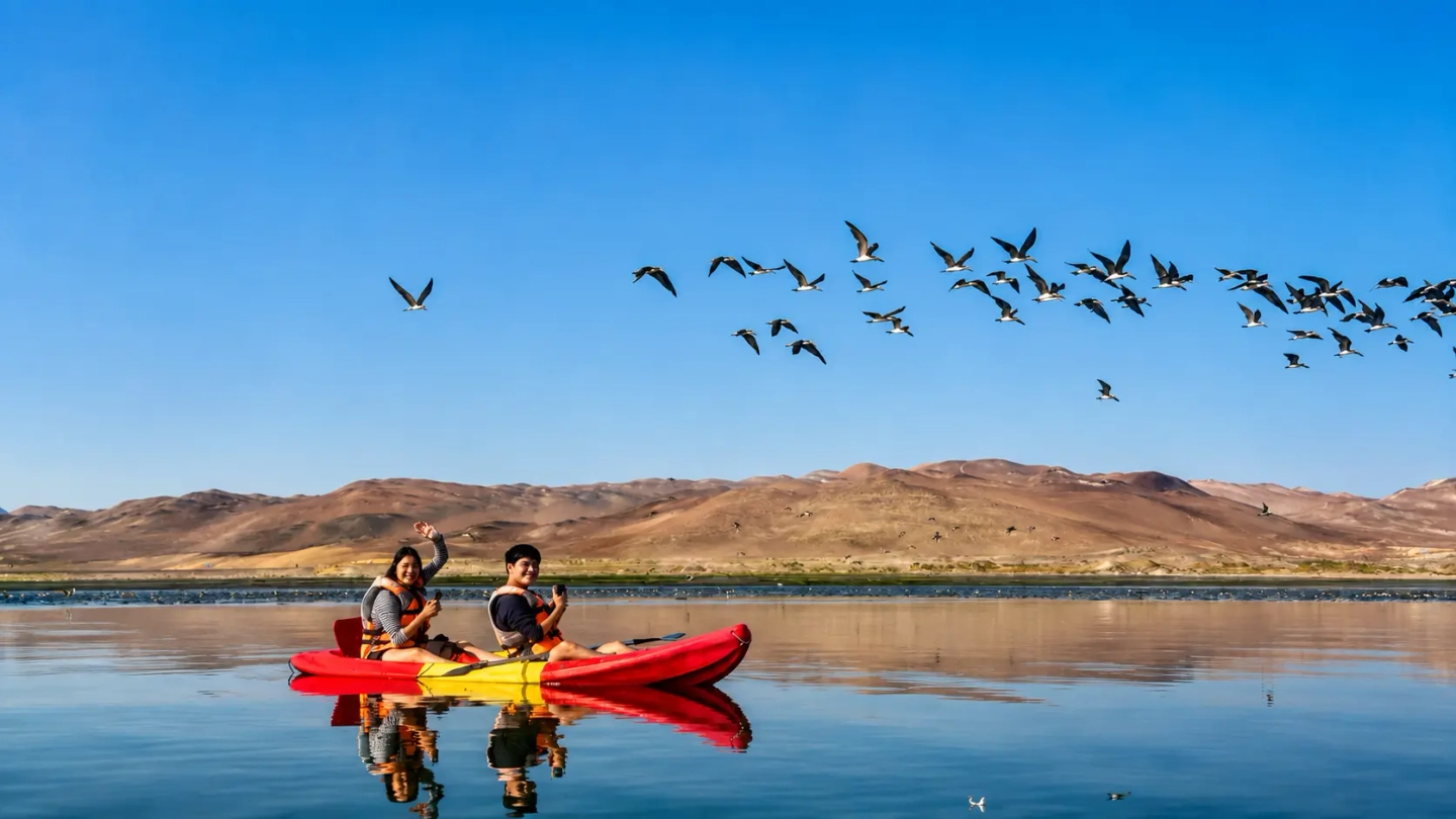 Paseo en Kayak y Paddle Surf