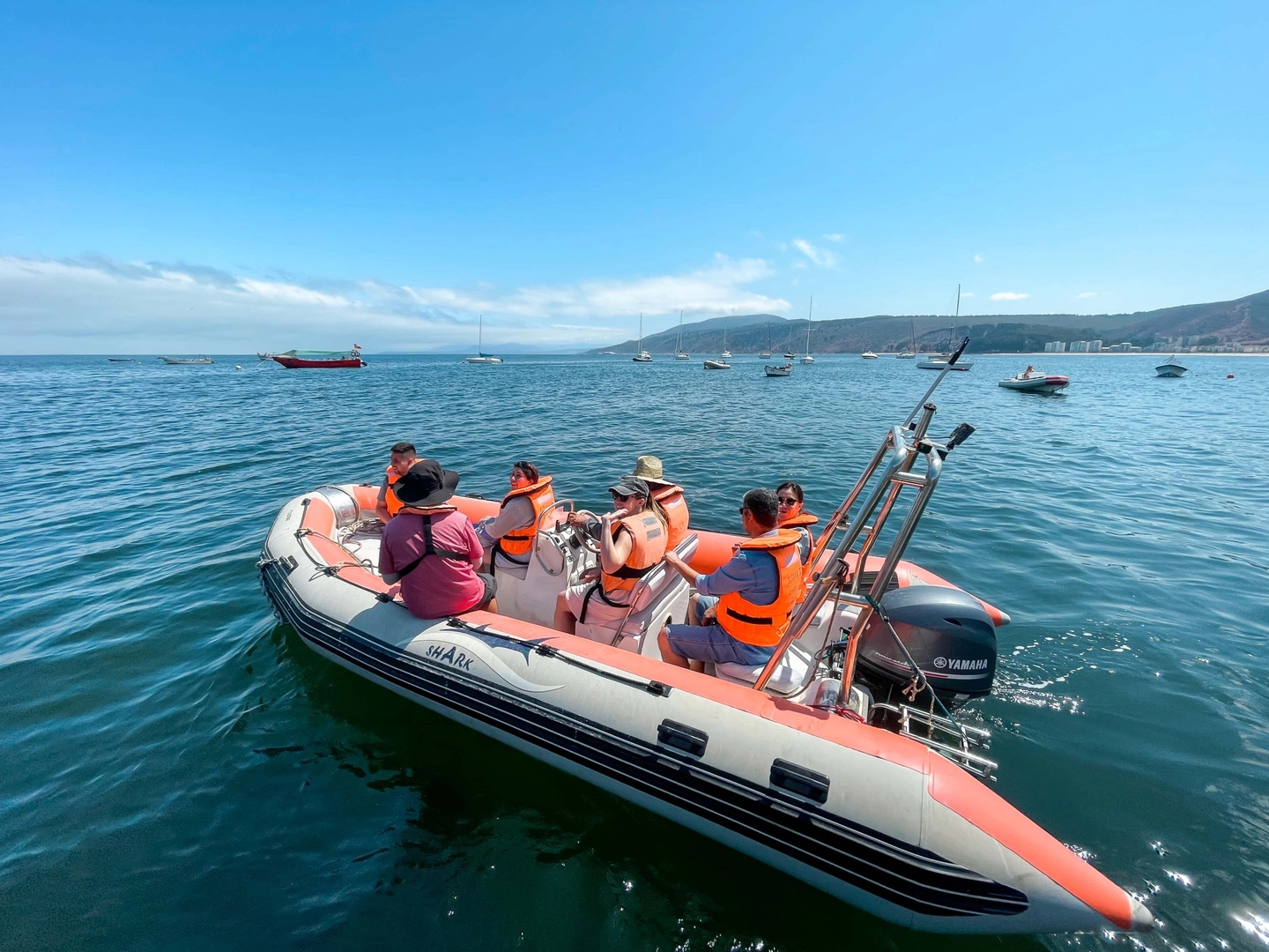 Explora la Costa de Papudo en Zodiac: Punta Pite, Isla de los Lobos y Playa Los Lilenes