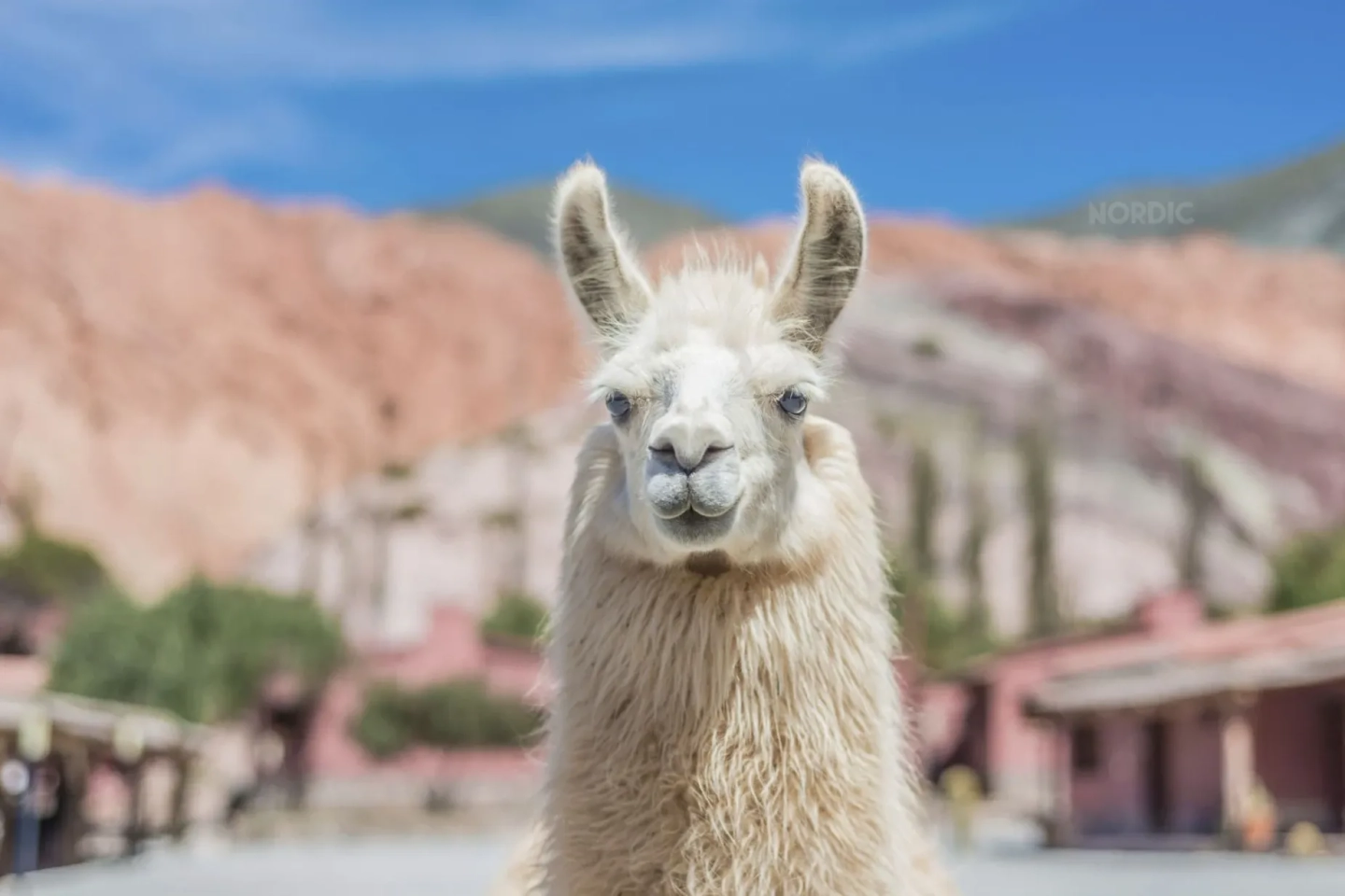 Valles Calchaquíes: Aventura de 2 Días desde Salta