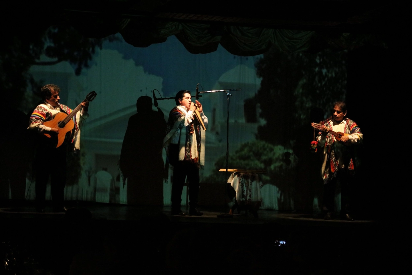 Picture 4