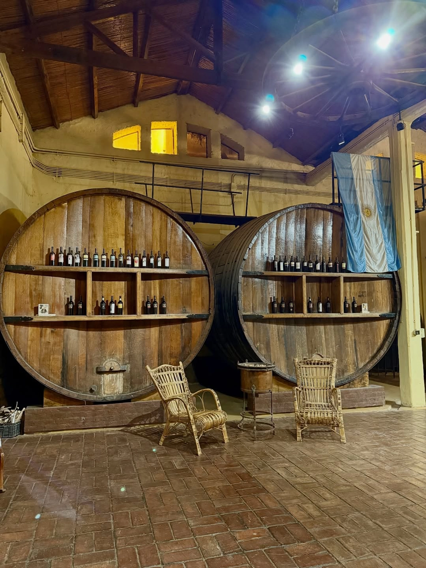 Ruta del Vino San Juan: Viñedos y Sabores