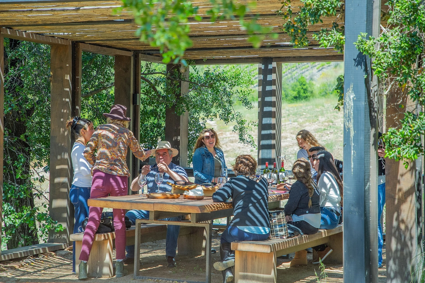 Experiencia Premium en Viña Encierra: Degustación y Almuerzo Campestre