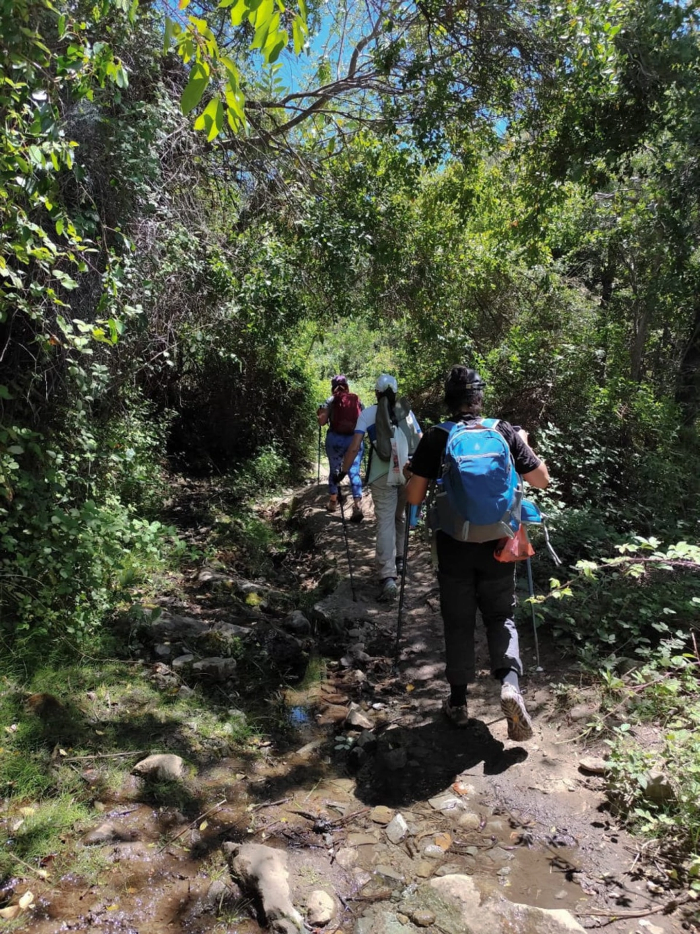 Aventura de Trekking en Cajón del Maipo por el Bosque de los Brujos