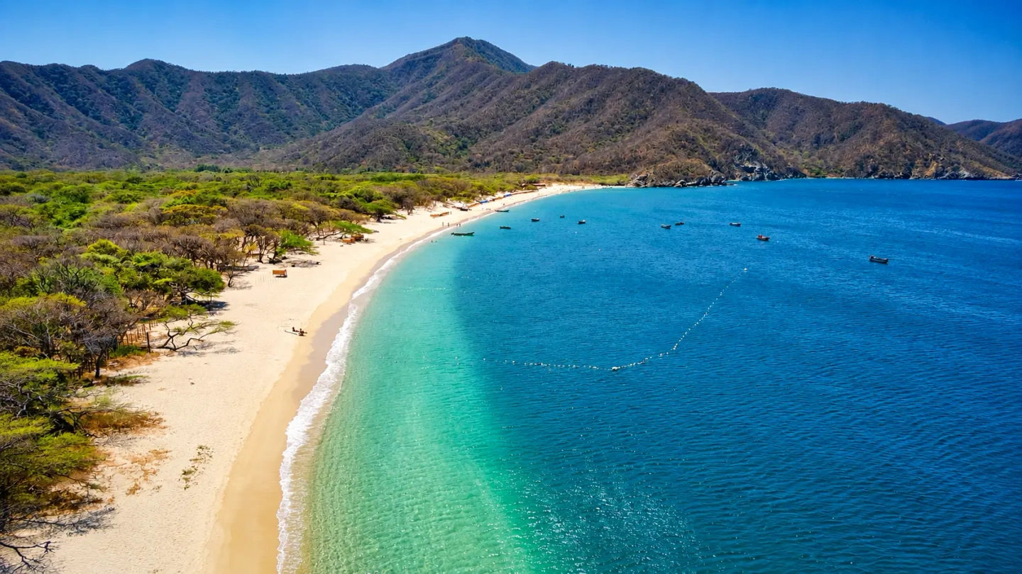 Expedición a Bahía Concha