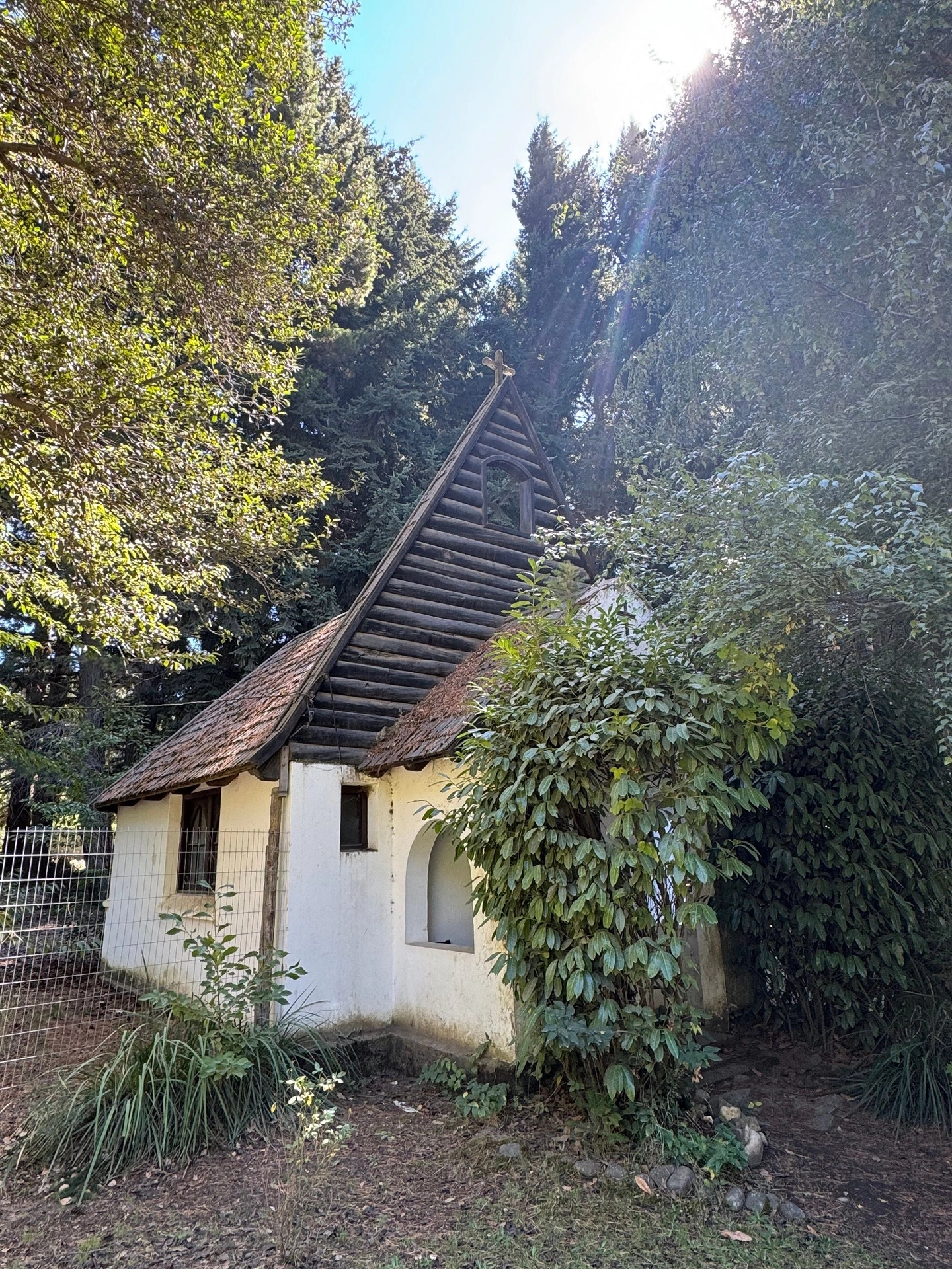 Picture 5