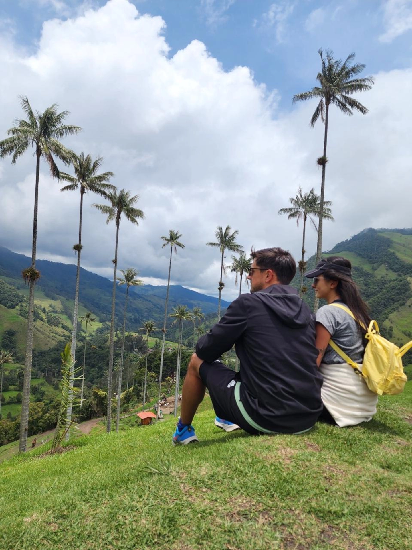 Tour compartido Salento y Valle del cocora sin recogida