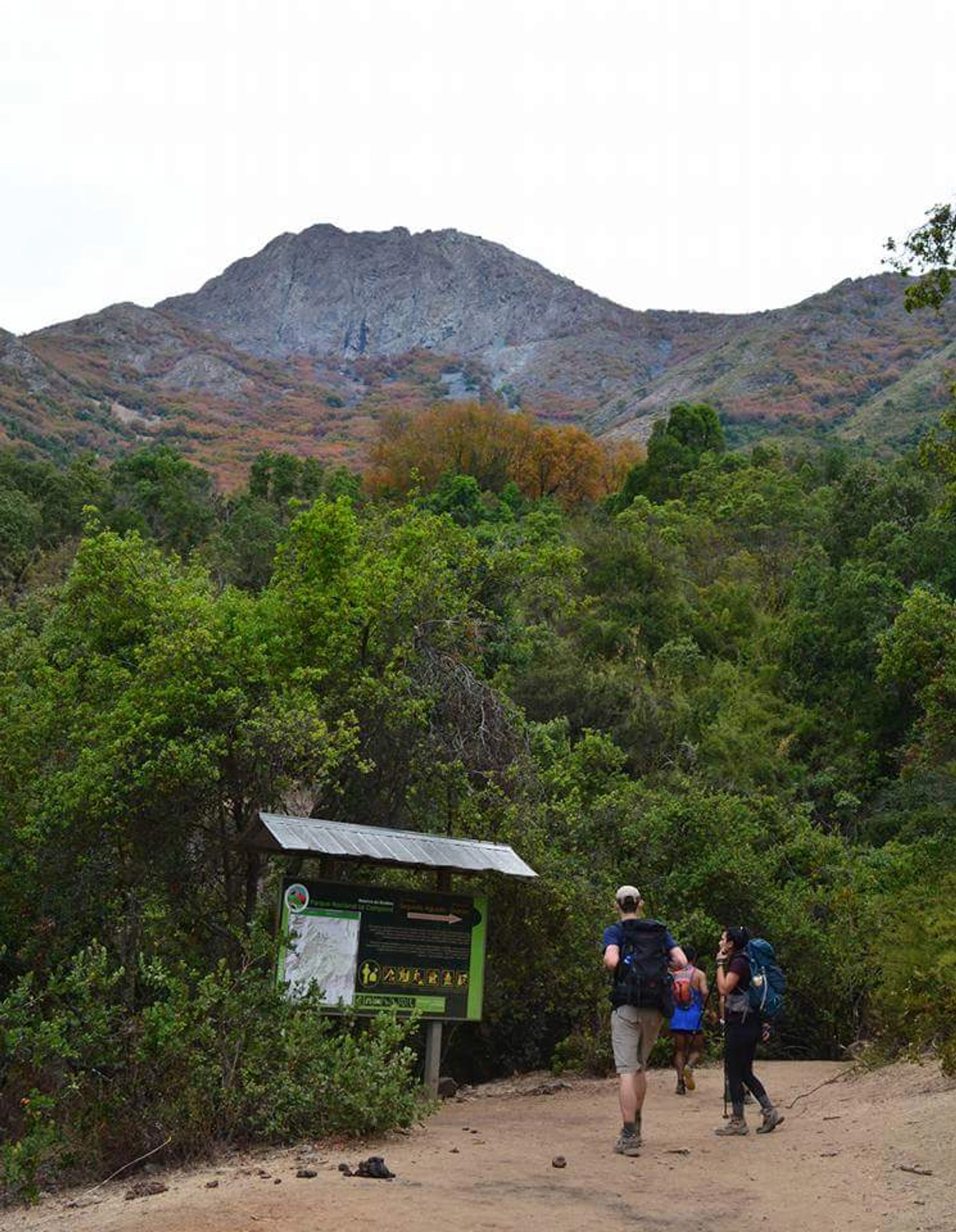 Parque Nacional La Campana Sector Granizo