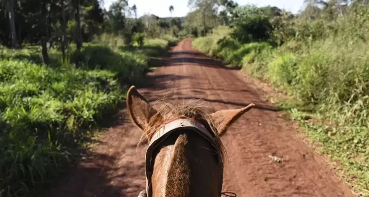 Cabalgata en la Selva y Comunidades Guaraníes