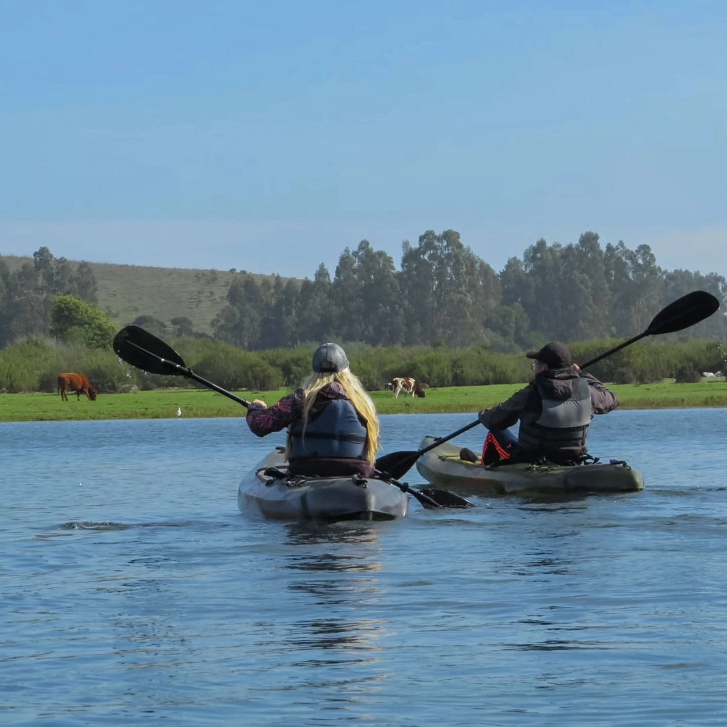Kayak en el Río Rapel: Ruta Licancheu Río Arriba