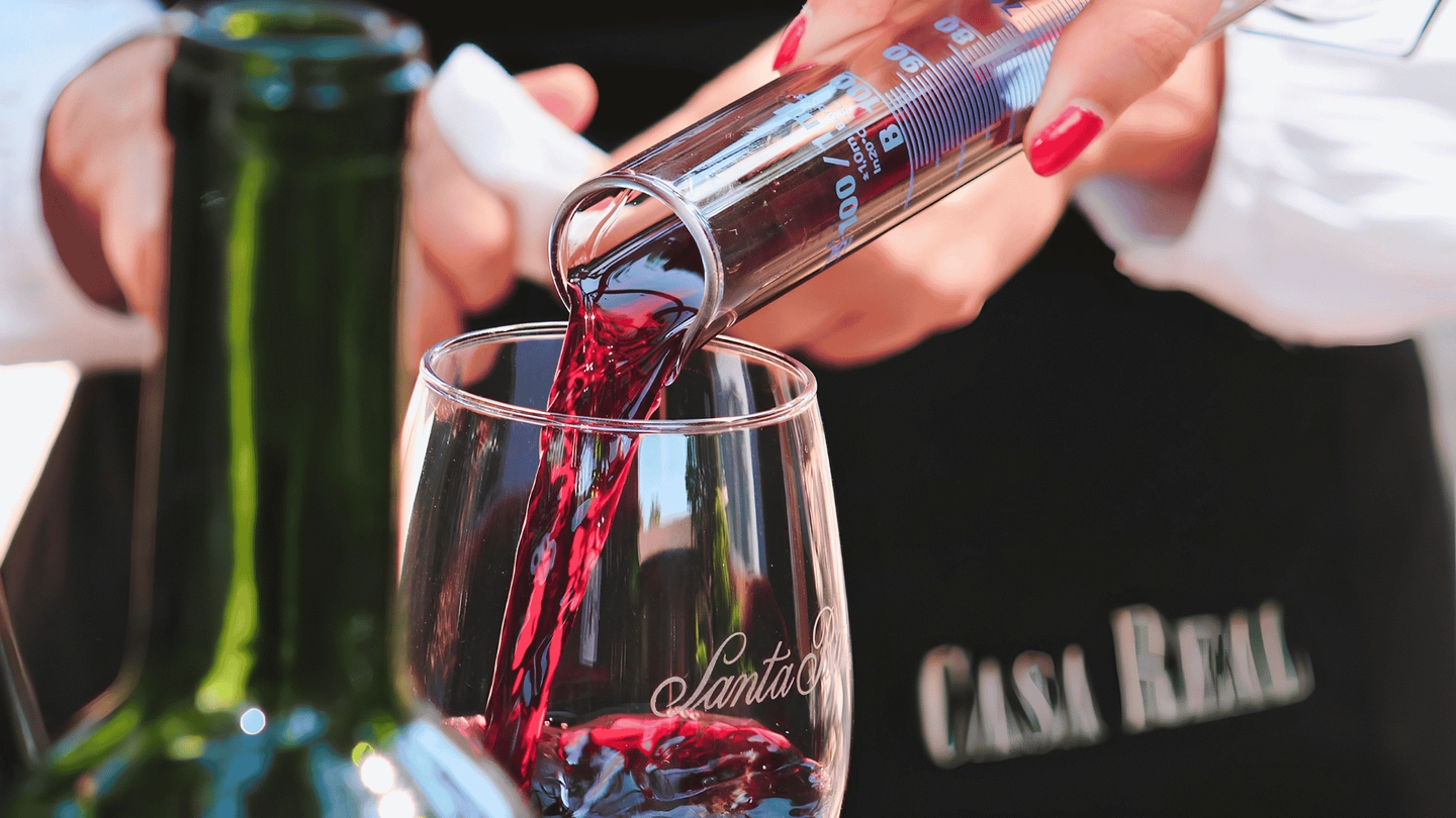 Winemaker Experience Viña Santa Rita