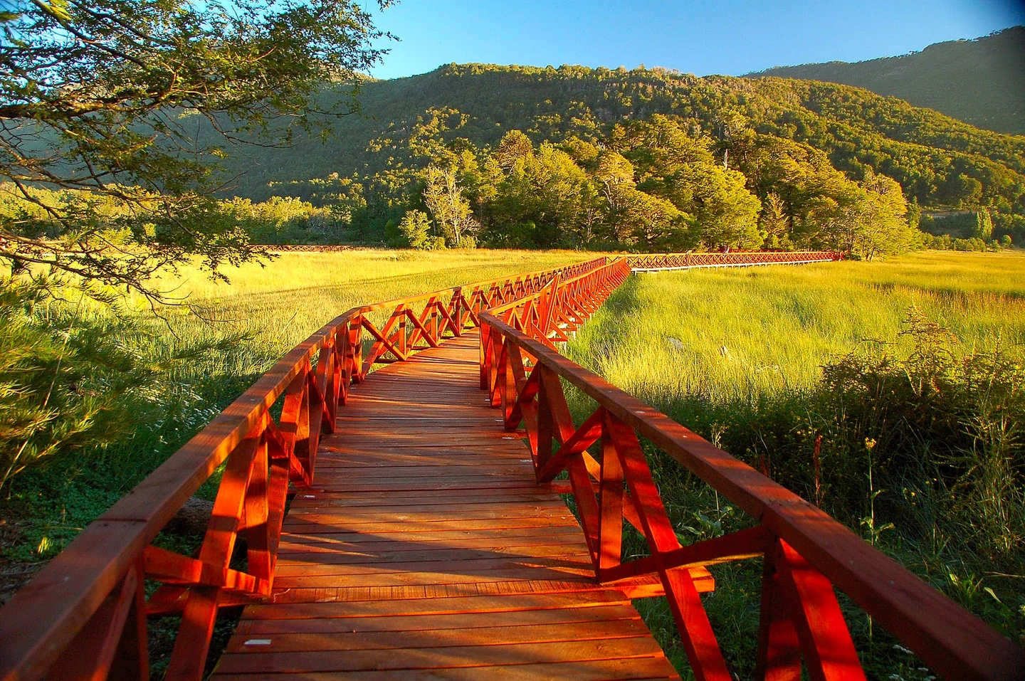 Parque Nacional Tolhuaca