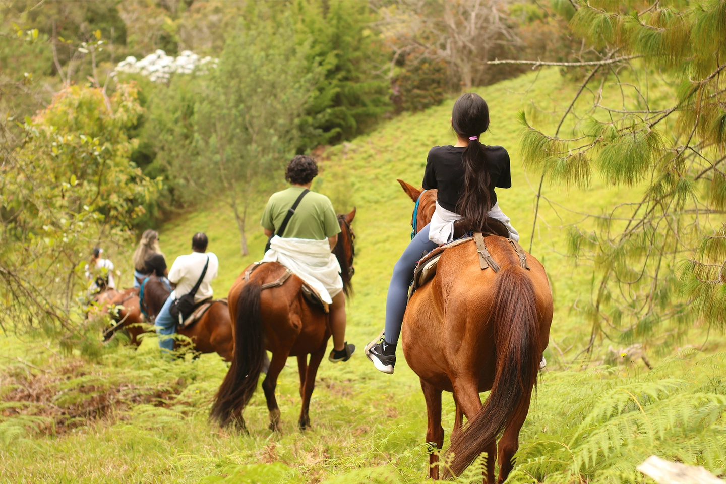 Paseo a caballo