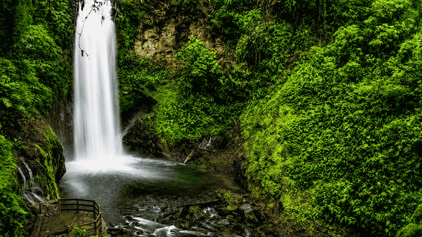La Paz Waterfall Gardens Tour