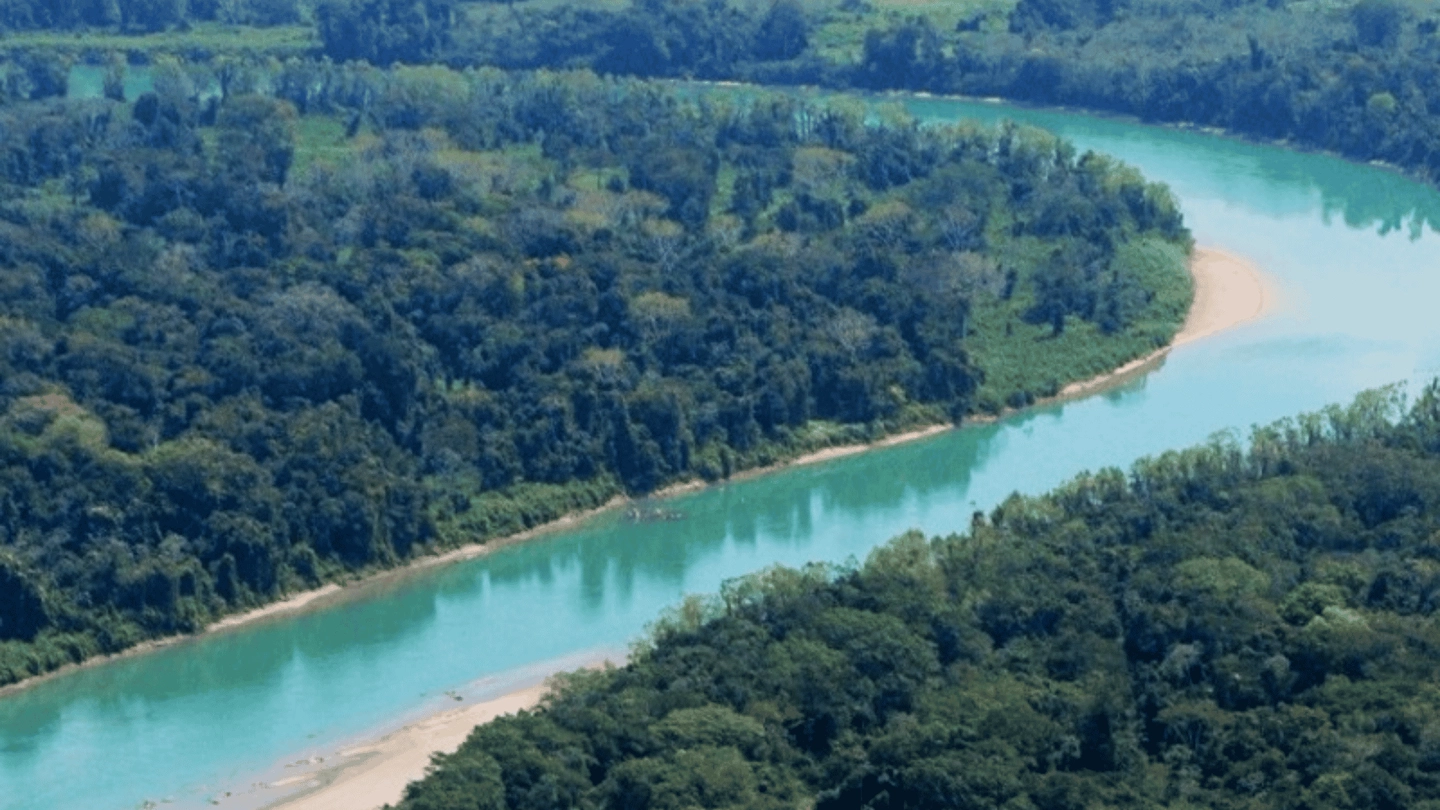 Picture 2