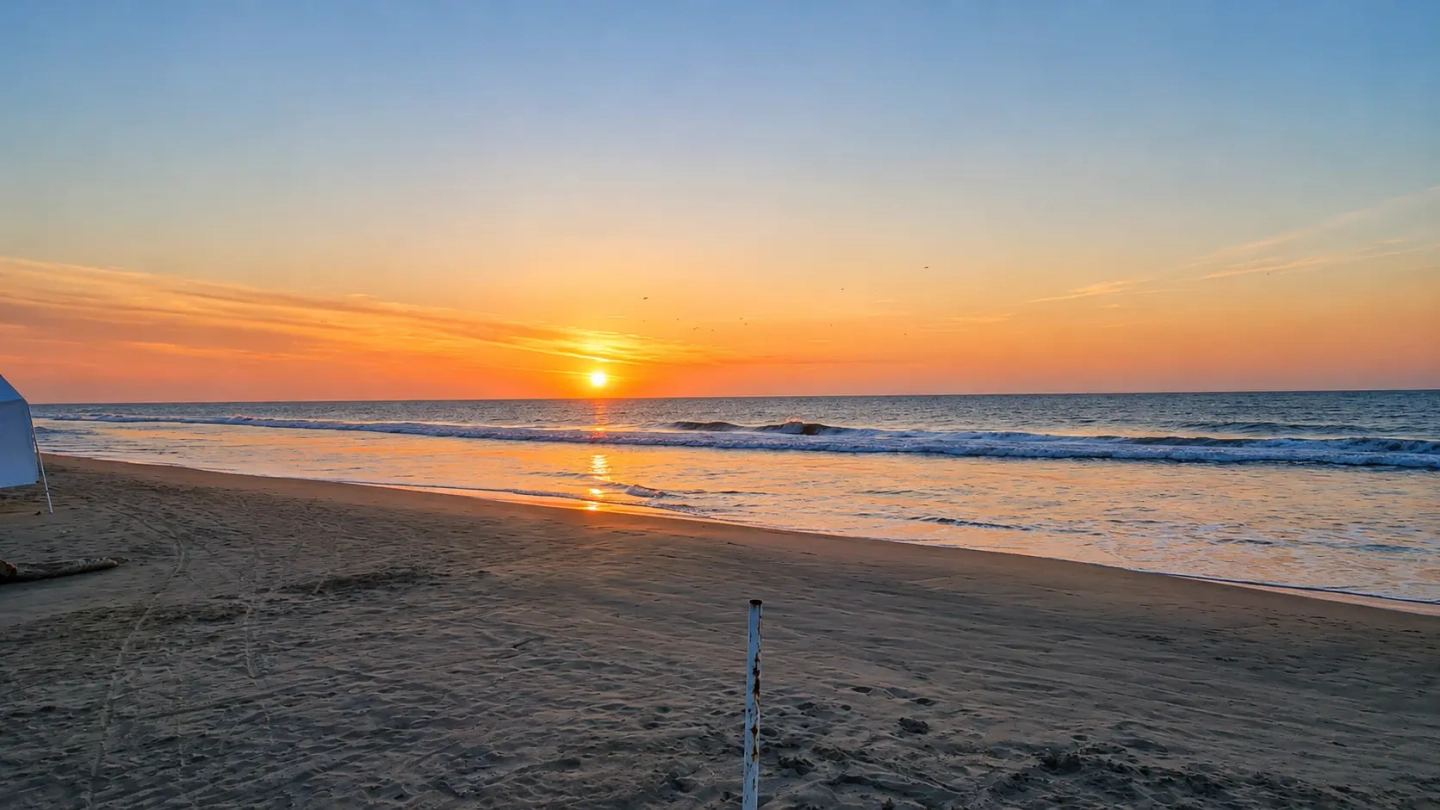 Pasadia en Playa Manzanillo