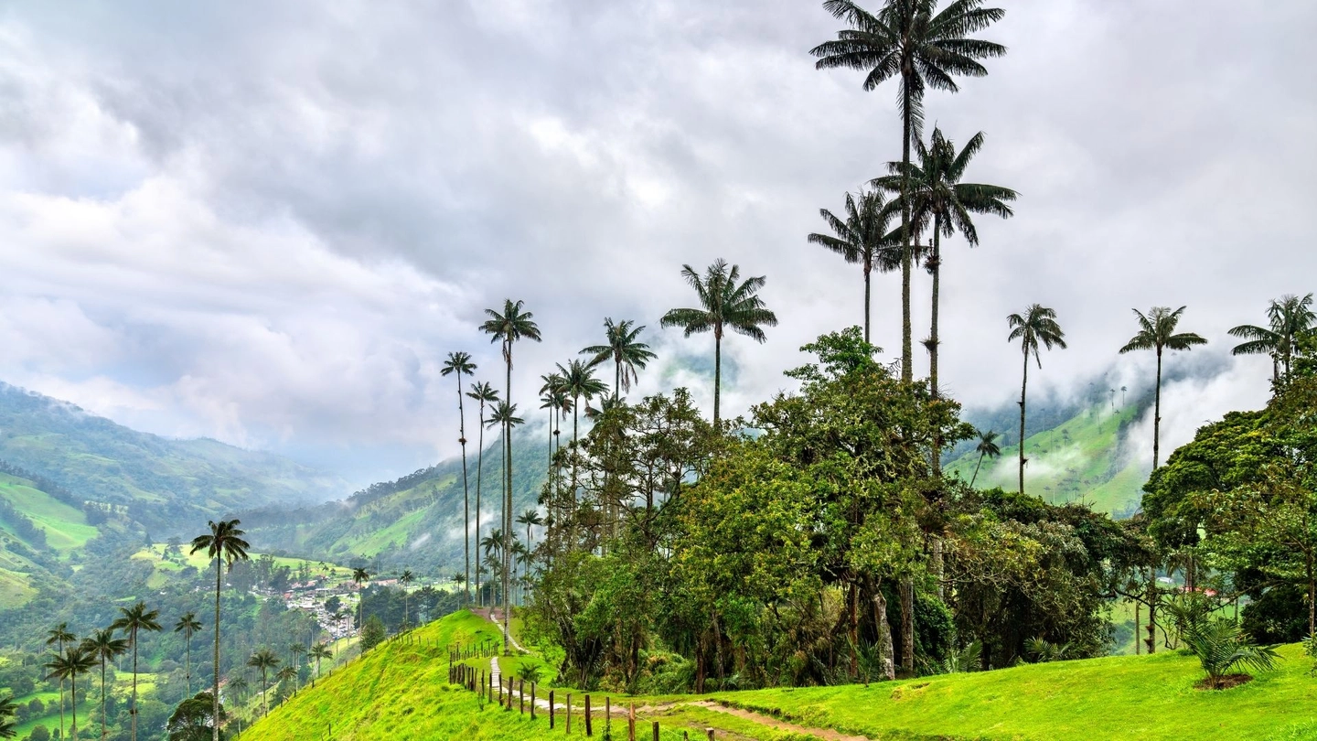 Short tour in the Cocora Valley