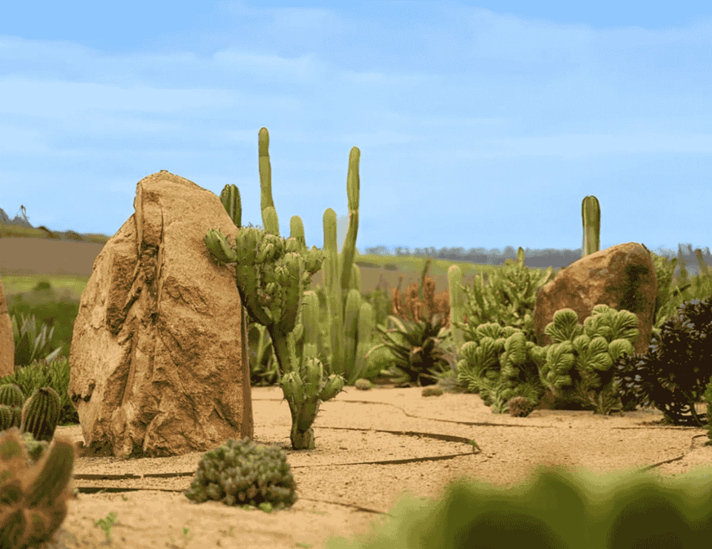 Recorre el Parque Tricao y su Jardín Botánico