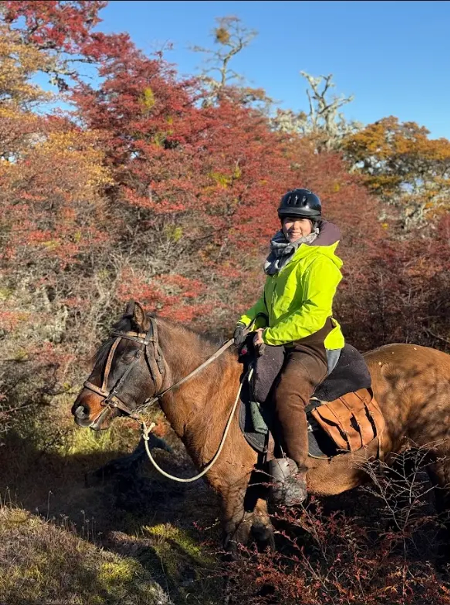 Cabalgata de Día Completo en Patagonia desde Puerto Natales
