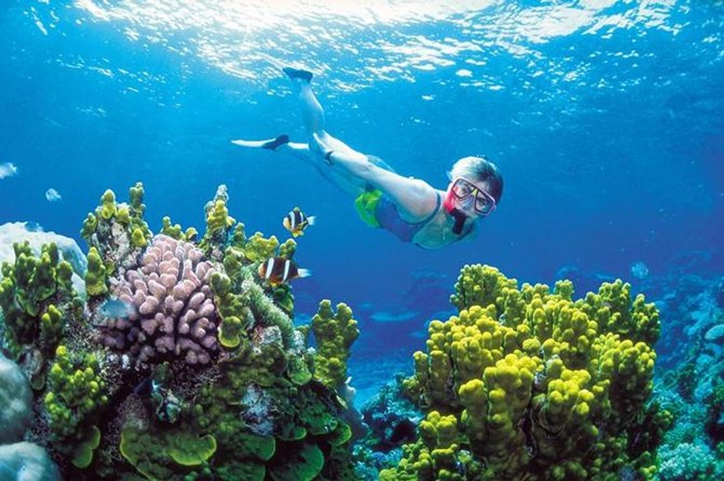 Snorkelling, off-road diving, zip line and cenote adventure from Cancun
