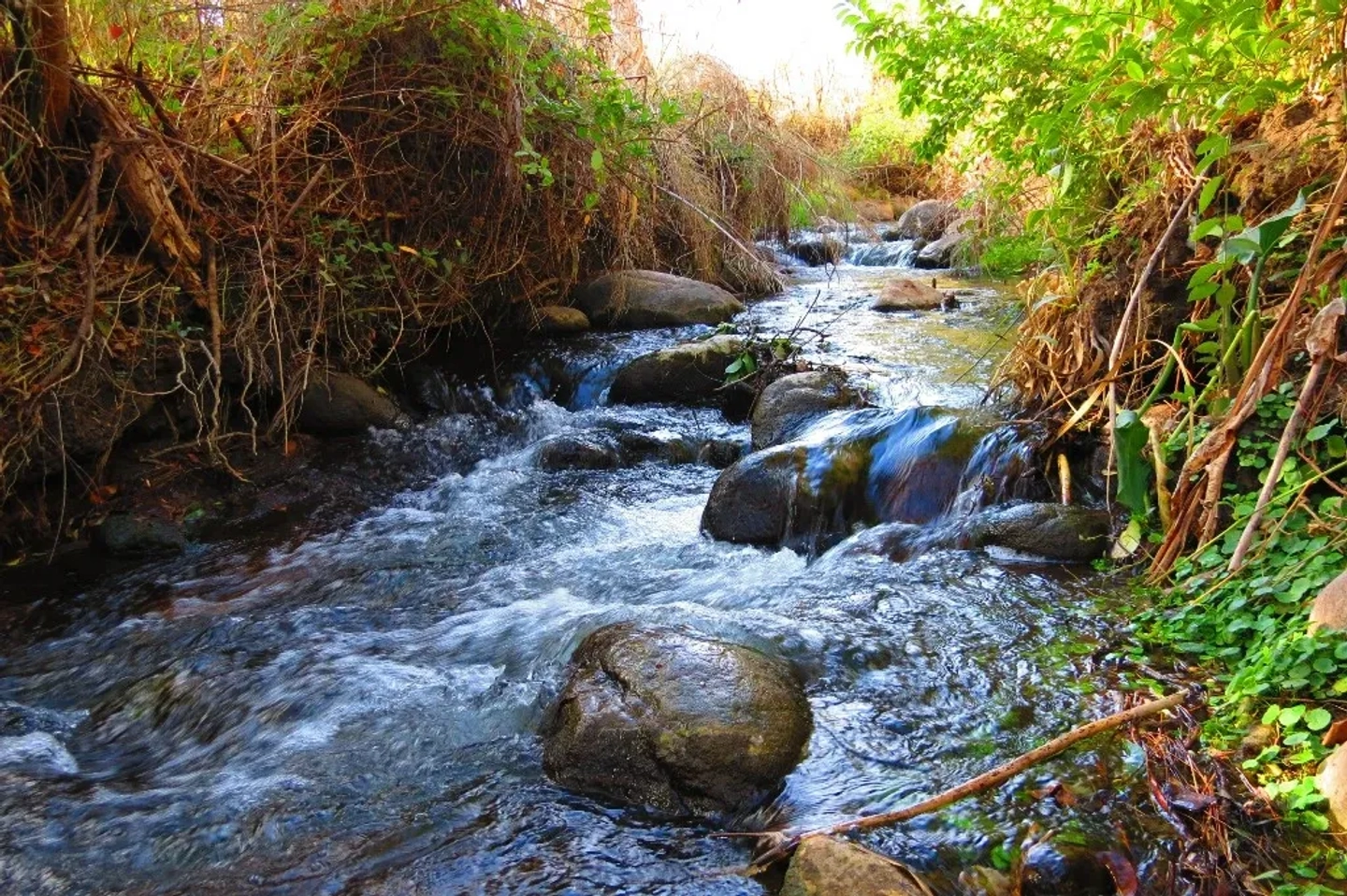 Picture 6