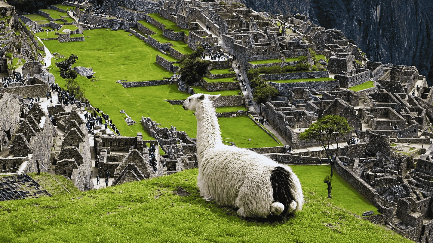 Machu Picchu Full Day - Sin Entrada