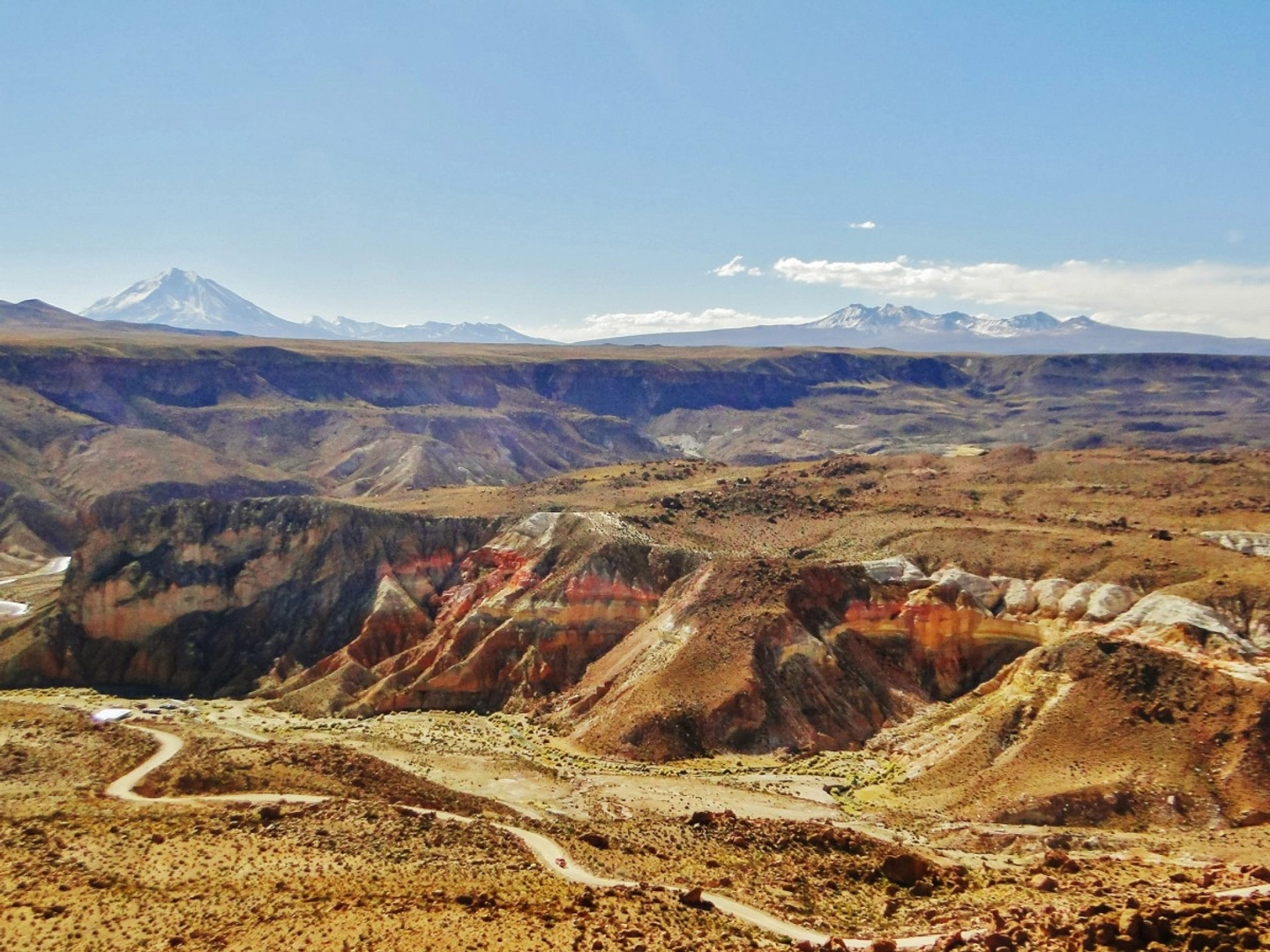 Suriplaza: Aventuras y Paisajes Mágicos del Altiplano Chileno