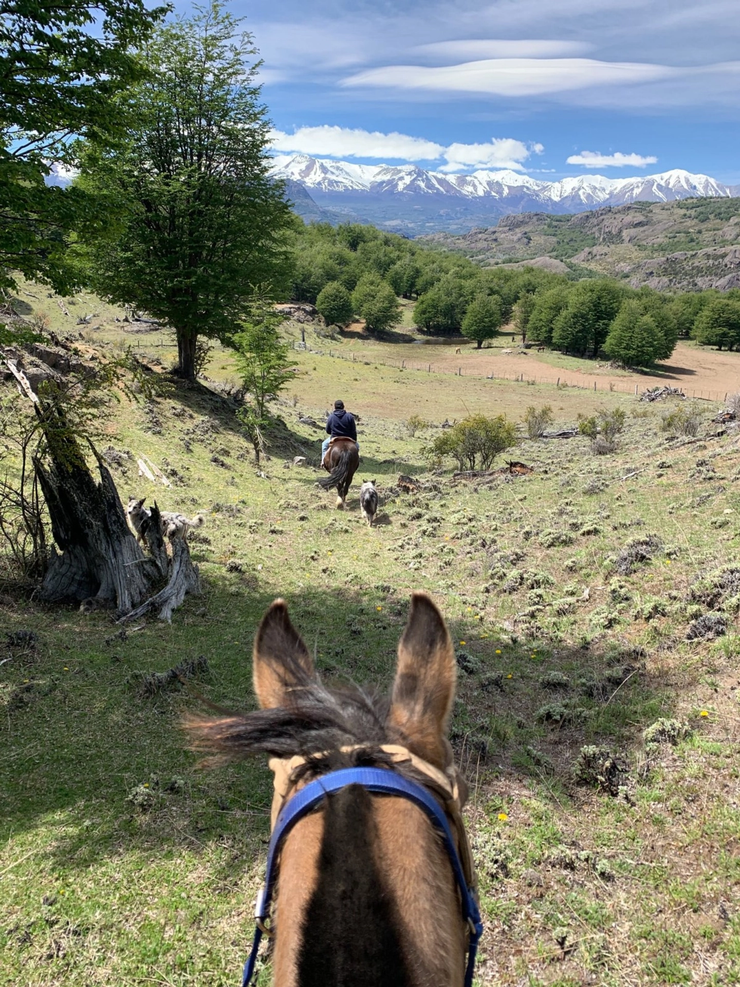 Cabalgata en la Patagonia: Explora la Cordillera del Cerro Castillo