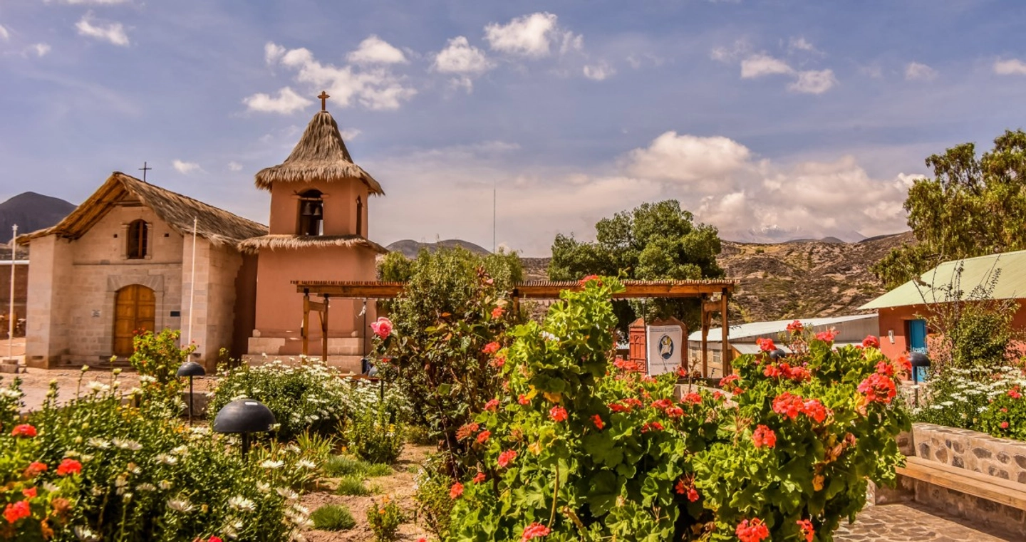 Ruta Precordillerana desde Putre: Historia y Naturaleza en el Altiplano