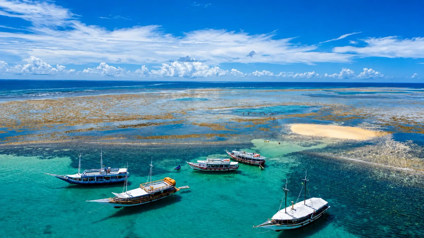 Excursão Recife de Fora