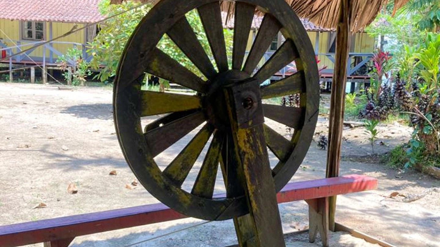 Picture 9