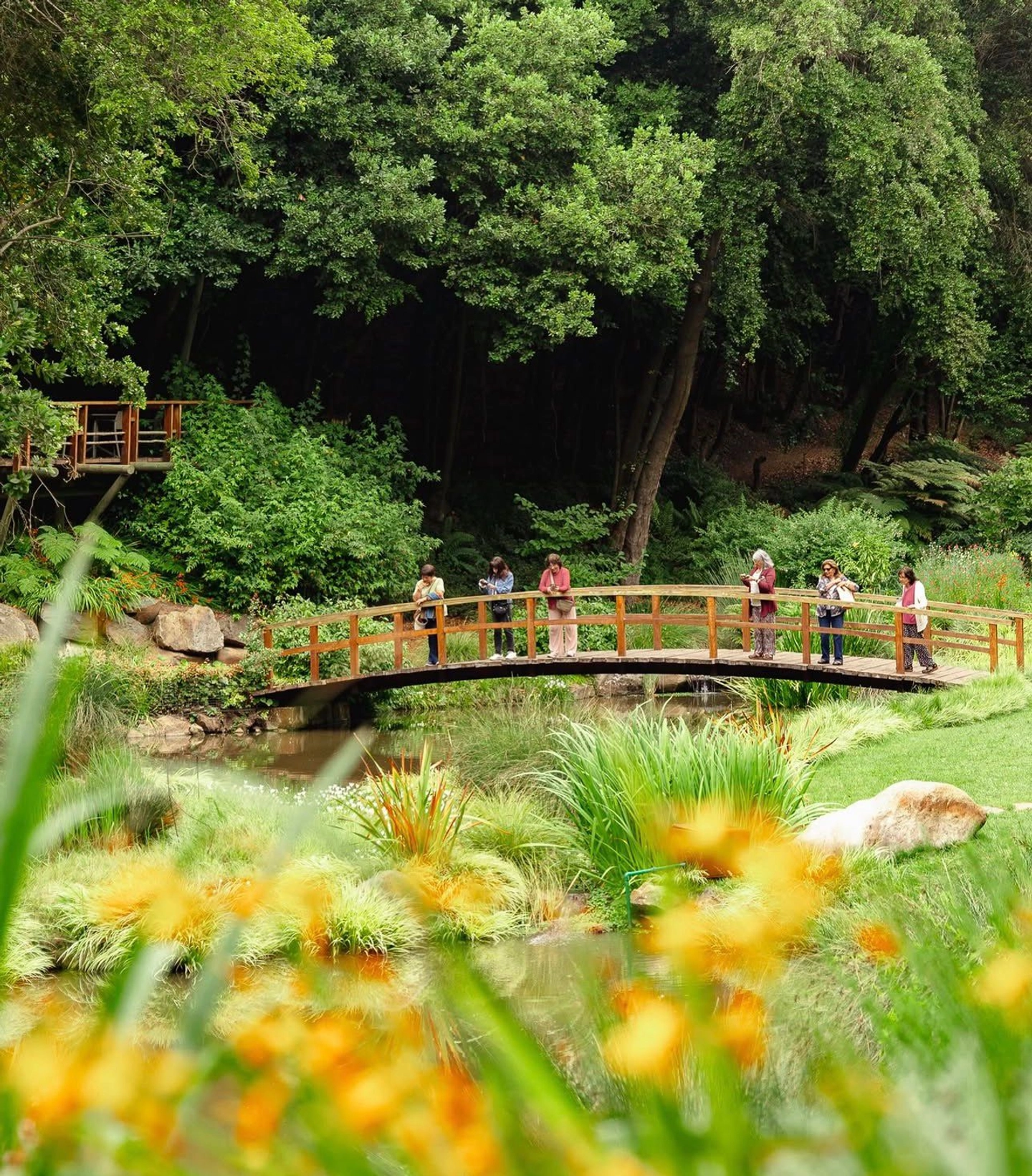 Entrada al Parque Tricao